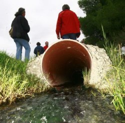 elegktes perivallontos