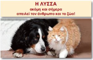 lyssa2