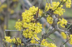 Χωρίς τίτλο