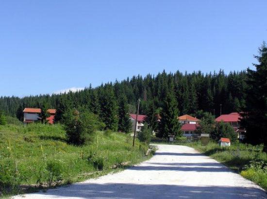 dasiko xorio