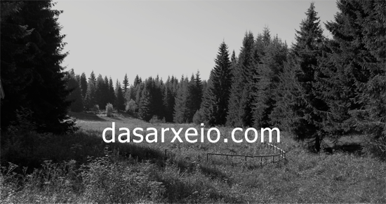 dasarxeio_image