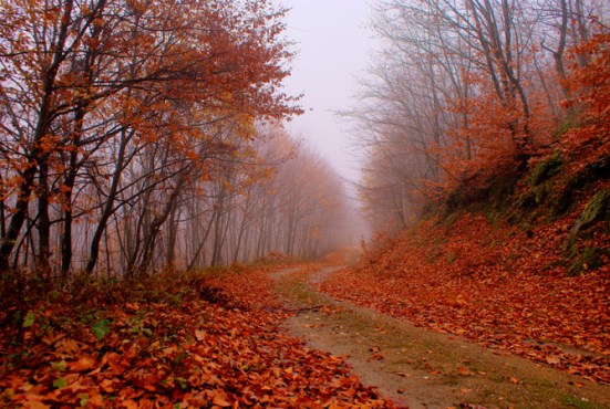 (www.wondergreece.gr)