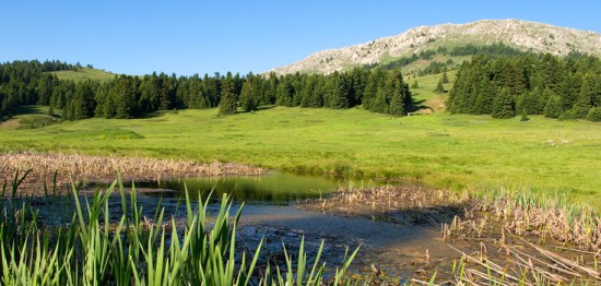 (ΦΩΤ.: http://www.naturagraeca.com)