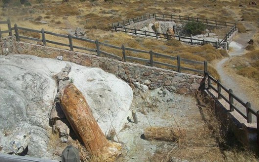 apolithomeno_lesbos1