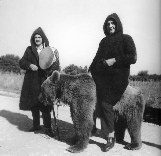 Πριν όχι πολλά χρόνια οι αρκούδες χρησίμευαν για την διασκέδαση των χωρικών. Αργότερα έγινε παραδεκτό ότι η άγρια ζωή αξίζει τον σεβασμό μας. (Φωτό: Τάκης Τλούπας) 