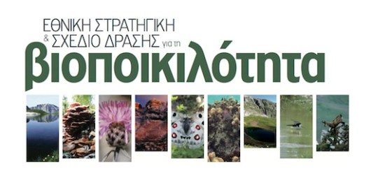 ΣΤΡΑΤΗΓΙΚΗ ΒΙΟΠΟΙΚΙΛΟΤΗΤΑΣ
