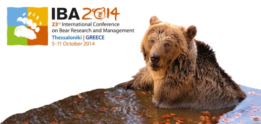 IBA_banner_970X464px_02