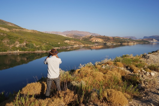 SAMSUNG CAMERA PICTURES