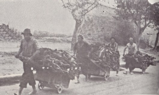Ξύλα από τον Υμηττό μεταφέρουν με καρότσια κάτοικοι της Καισαριανής για τη θέρμανσή τους κατά την Κατοχή (πηγή: Κουβάς Γ., «Το διάβα της Καισαριανής», εκδόσεις Θ. Φασούλα, Αθήνα 1996).