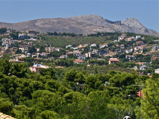 Καμένη και αναγεννώμενη δασική βλάστηση πευκοδάσους σε έκταση οικοδομικού συνεταιρισμού −η δασική βλάστηση κάηκε, οι οικίες έμειναν ανέπαφες! (από το αρχείο του συγγραφέα).