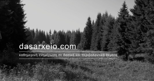 dasarxeio_logo