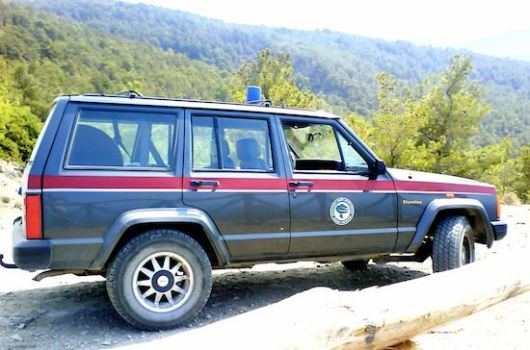 dasiki upiresia, tzip