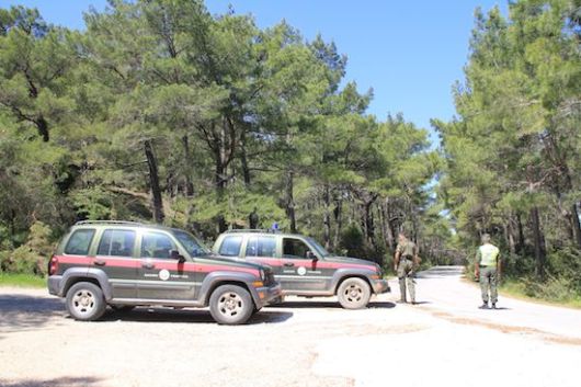 (φωτογραφία αρχείου)