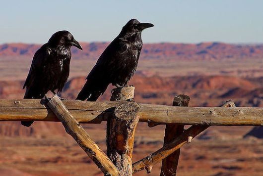 Φωτό: ljmoore.wordpress.com