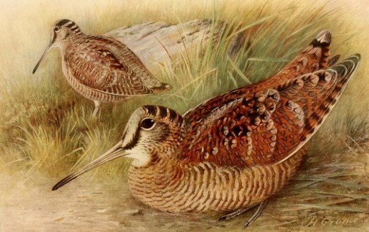 mpekatsa