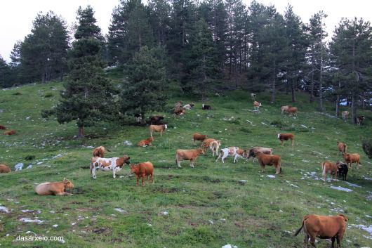 voskotopos agelades ktinotrofia