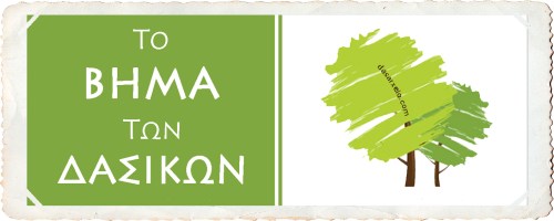 tovima_bord