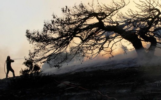 purosvestis_purkagia