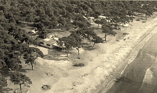 skinias
