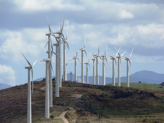 Επιτρεπόμενες χρήσεις σε αναδασωτέες εκτάσεις, όπως η εγκατάσταση ανεμογεννητριών σε αυτές (φωτογραφία από το διαδίκτυο).
