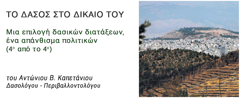 dasos_dikaio_4