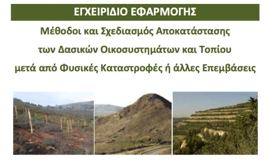 egxeiridio efarmogis