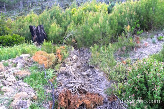 ekxersosi kalliergeia anadasotea