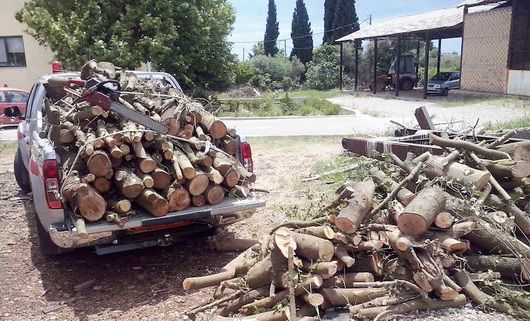 ylotomia_dasarxeio_purgou