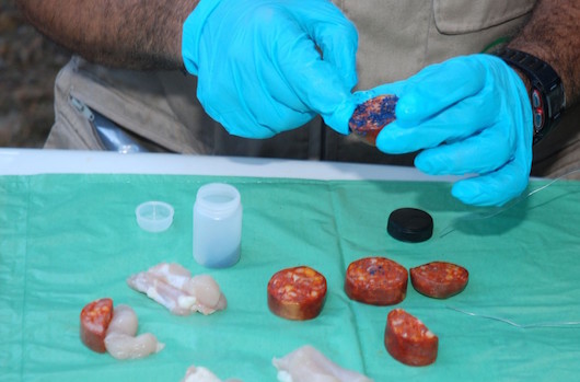 dilitiriasmena dolomata