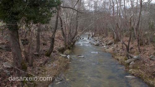 Rema xeimaros platania