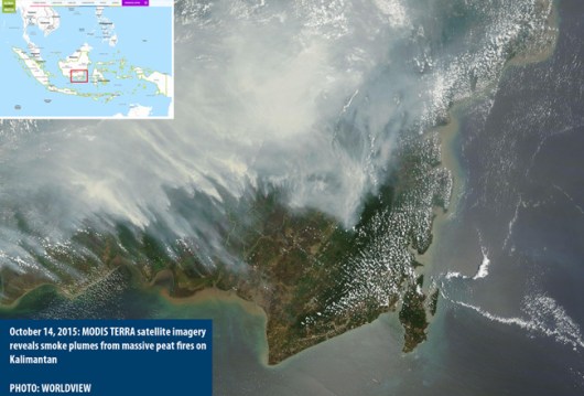 Fires_Indonesia