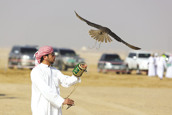 gerakia_arabes