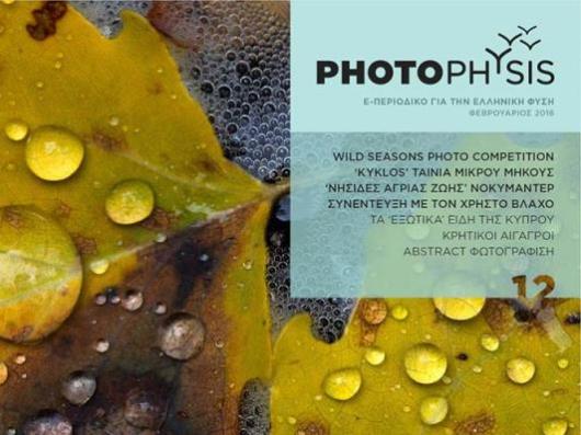 photophysis