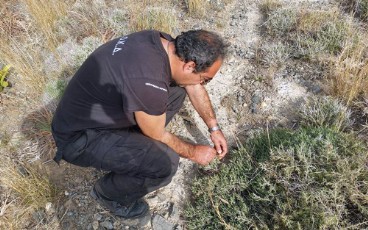 surmatopagies_akokd3