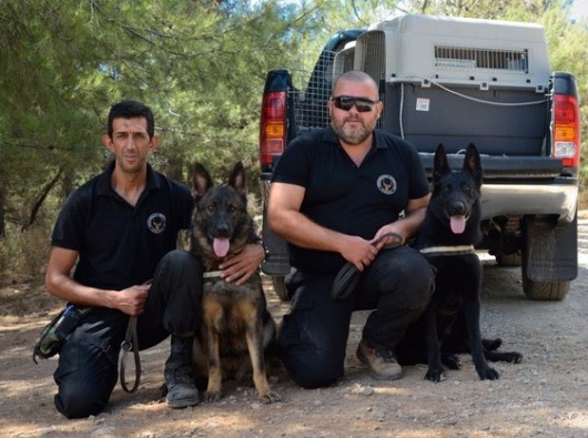 akokd_skulia_dolomata