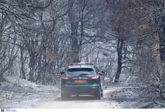 oxima_dasikis_ipiresias_fotia_limni_evias