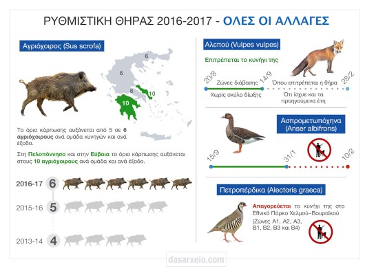 ritmistiki_16_17_allages