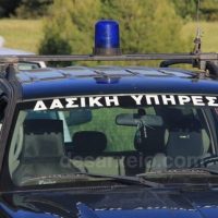 Αίτημα παράτασης απασχόλησης εργαζομένων στις Δασικές Υπηρεσίες για το 2026