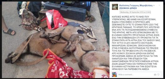 krikrikinigoifacebook