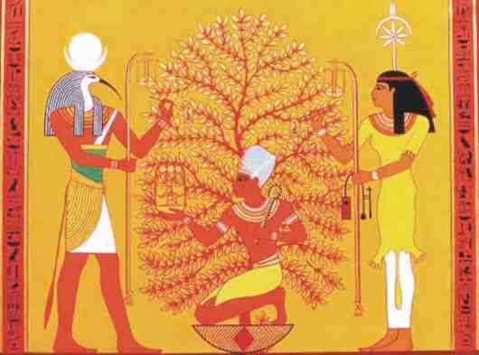 tree-of-life
