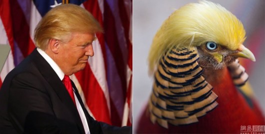 214927-c5r0hiat00ap0001