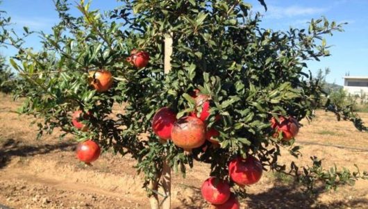 img_2314