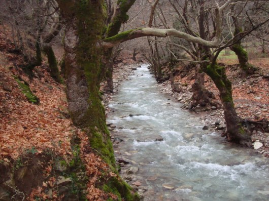 potami_lavadi_anthiro_karditsas