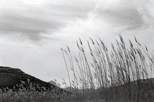 Τήνος Εξωμβούργο, φωτ.: Ευγενία Κουμαντάρου