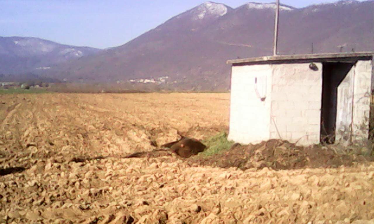 troxaio arkouda 29.03.2018 c.jpg