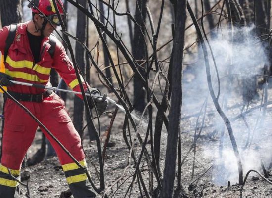 Προετοιμαστείτε για τις δασικές πυρκαγιές: Προστατέψτε το σπίτι σας