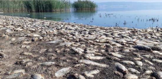 Η λίμνη Κορώνεια πεθαίνει από ανεπάρκεια της γραφειοκρατίας