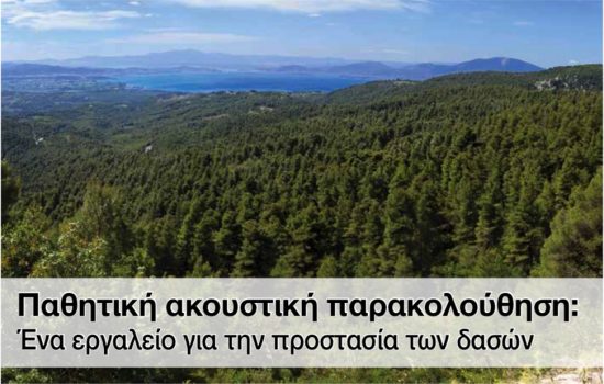 Παθητική ακουστική παρακολούθηση: Ένα εργαλείο για την προστασία των δασών