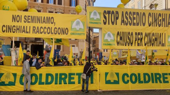 Ιταλία: Χαμός για τα αγριογούρουνα – «Καταστρέφουν τα πάντα», λένε αγρότες που βγήκαν στους δρόμους