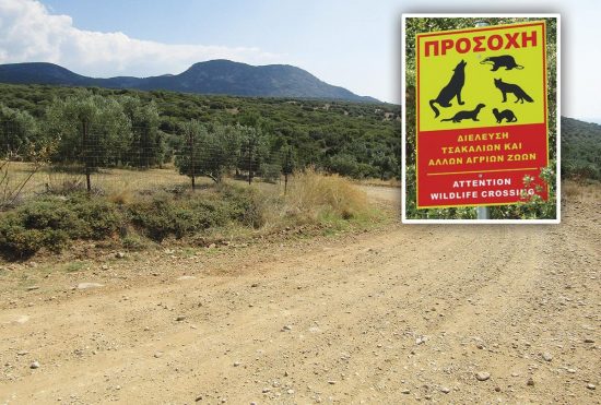 Ξανά αναβολή στη δίκη για τη νεκρή Βρετανίδα που σκοτώθηκε από ζώα